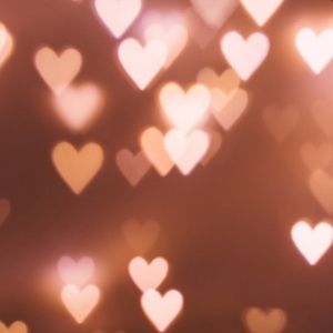 Meet your Posher, Paige